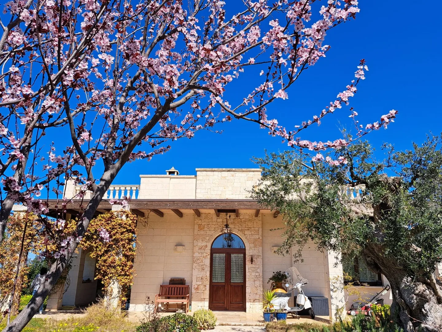 Villa gli Ulivi, photo 2